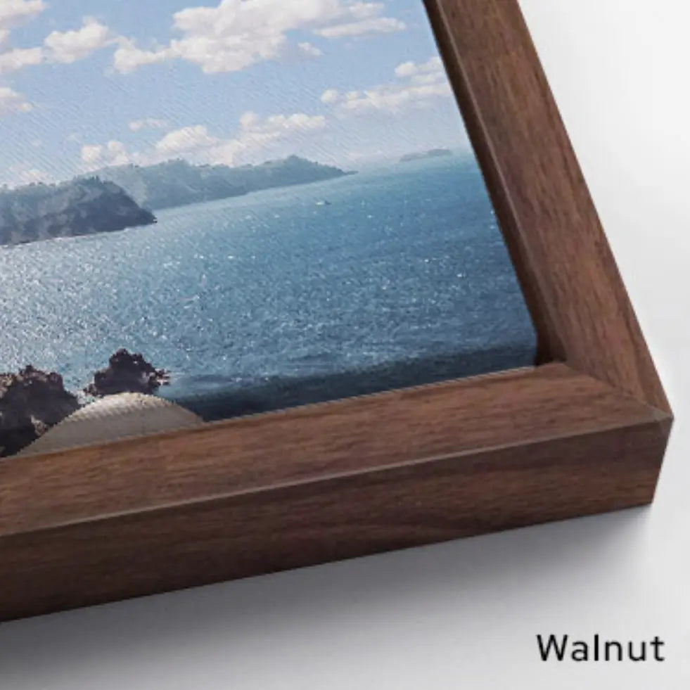 Gold at Play Fine Art Sweet Tangerine Art