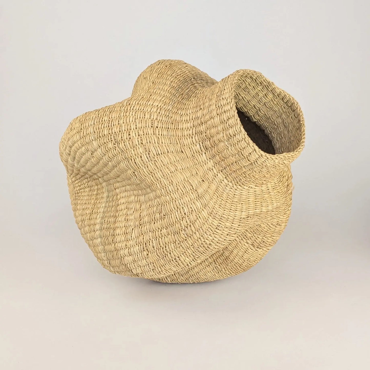 Natural Wave Vase - Medium The Taylored Collection