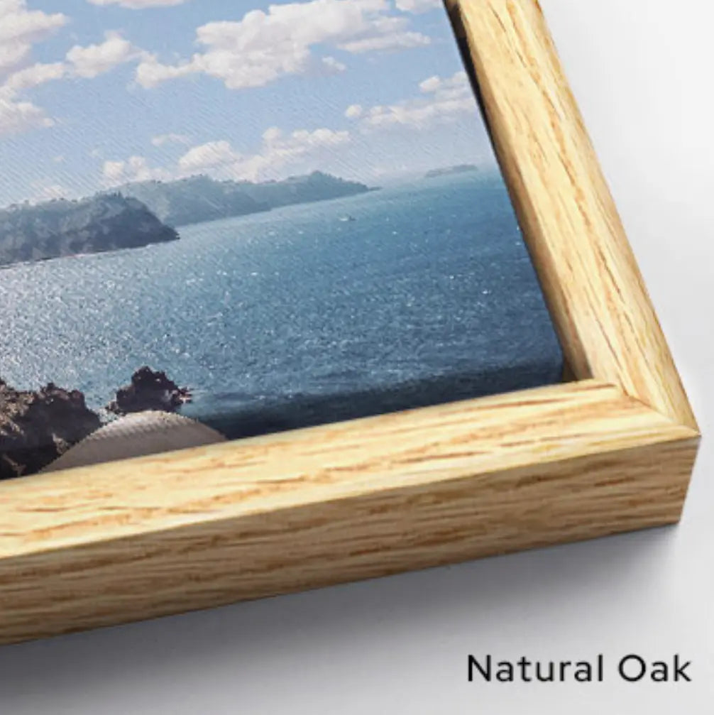 Gold at Play Fine Art Sweet Tangerine Art