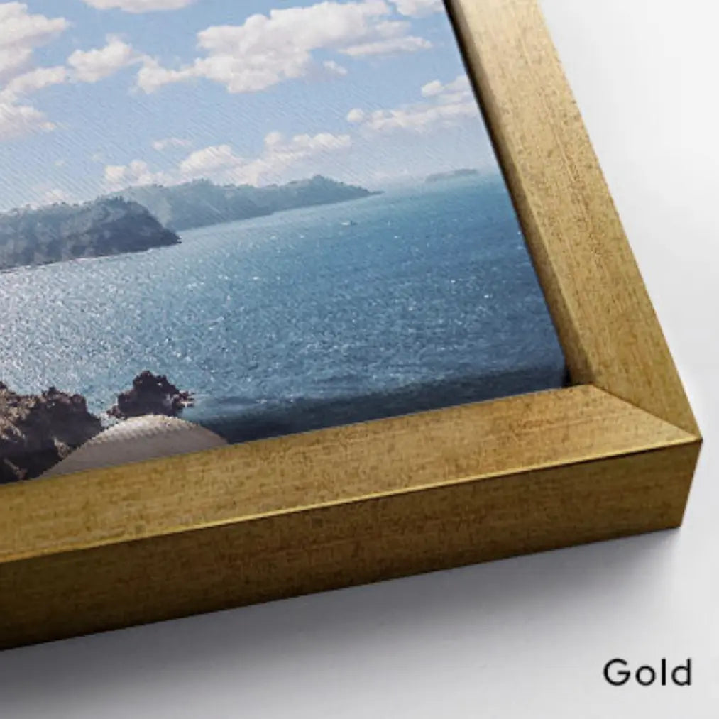 Gold at Play Fine Art Sweet Tangerine Art